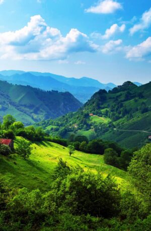 hills