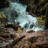 Beautiful waterfall flowing gently through a lush tropical forest, surrounded by rocks and greenery.
