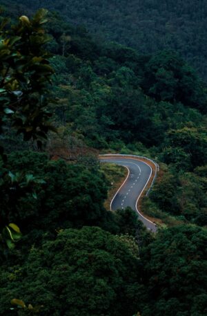 From above of curvy asphalt road going through lush green forest growing in picturesque mountainous valley